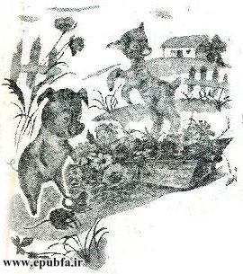 قصه کودکانه کرهاسب کوچولوی بامزه - محصول ایپابفا - ارشیو قصه و داستان کودکانه